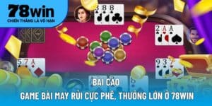 bài Cào