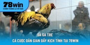 đá gà tre
